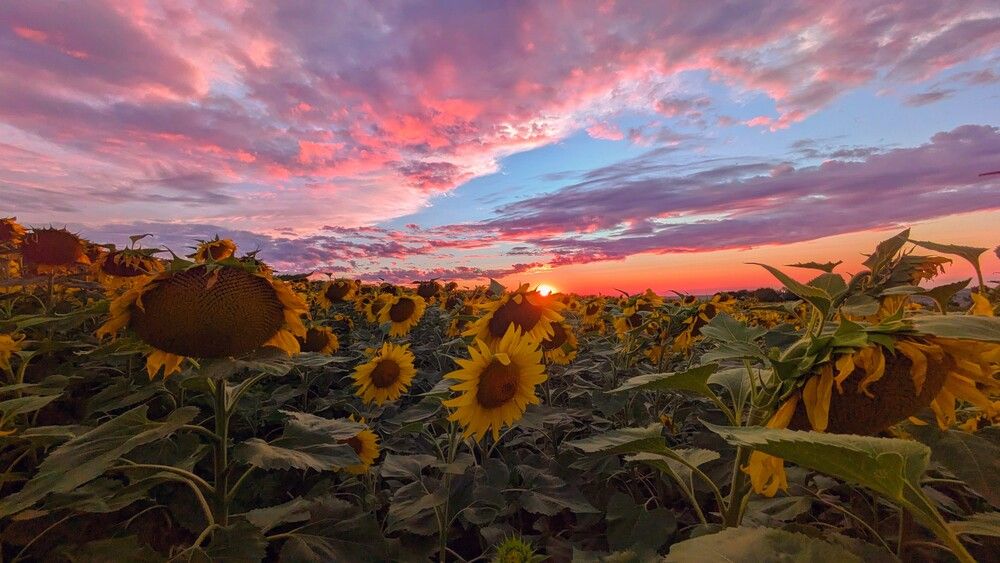Фотография автора Иван Губский
