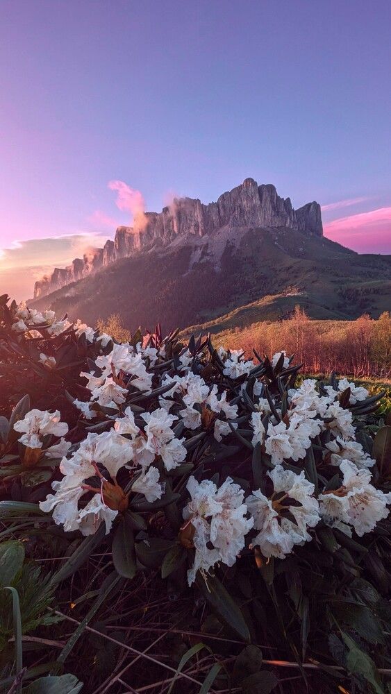 Фотография автора Иван Губский