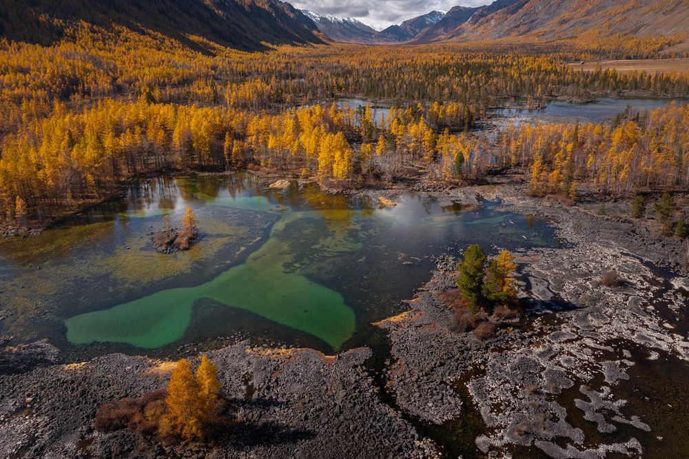 Photograph by Александр Нерозя