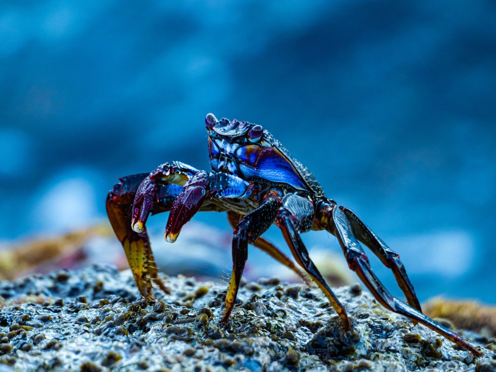 Photograph by Ástor Suárez