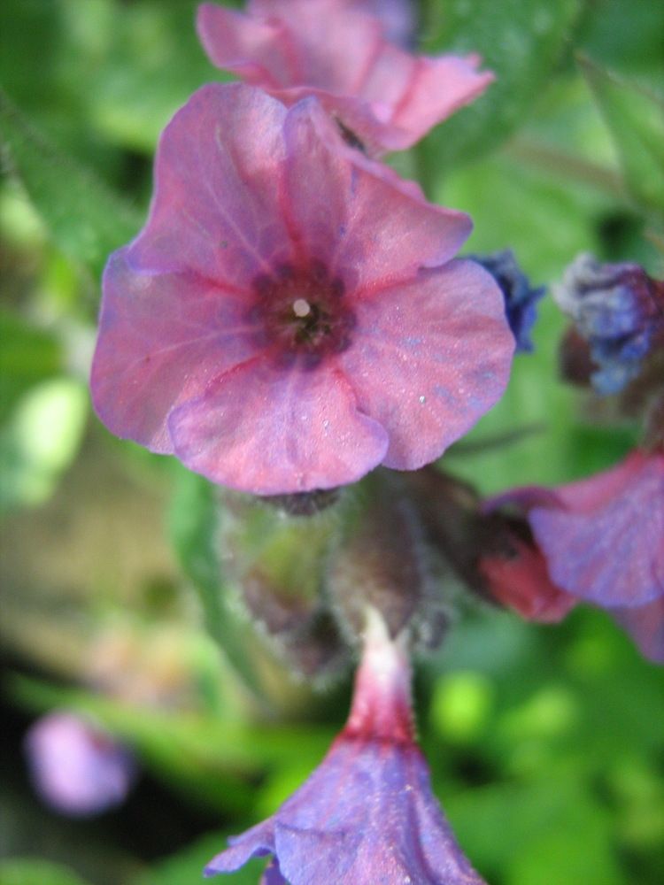 Photograph by Isabella Northrop