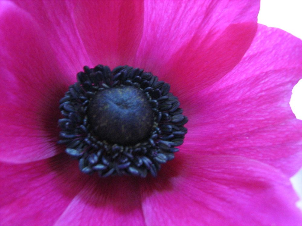 Photograph by Isabella Northrop