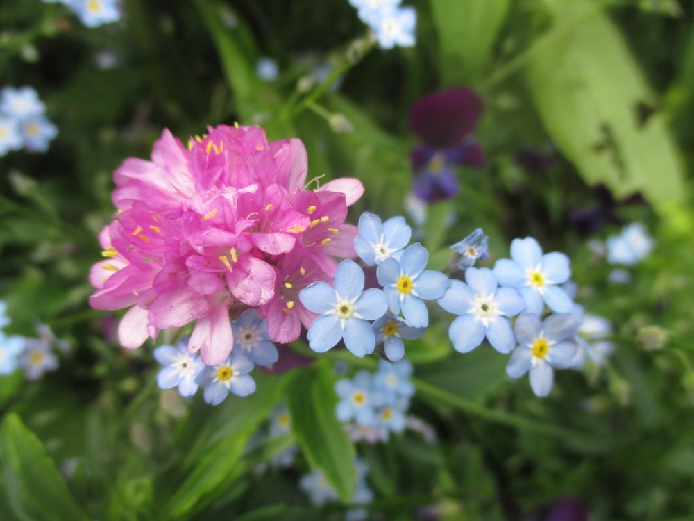 Photograph by Isabella Northrop