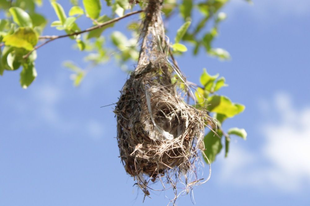 Photograph by Alexandre Pimentel