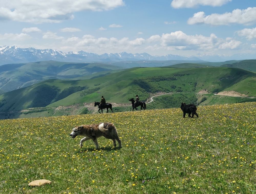 Фотография автора Шипунова Ирина