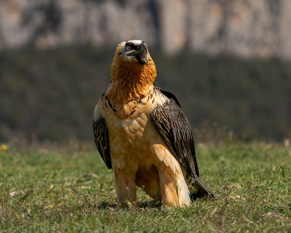 Фотография автора Дорн Оксана