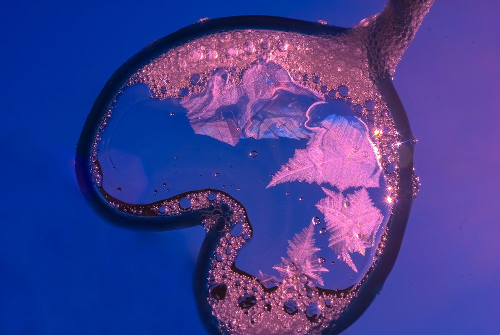 Ледяная морозная кисть