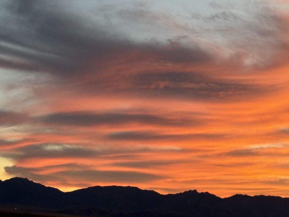 Photo #12848554