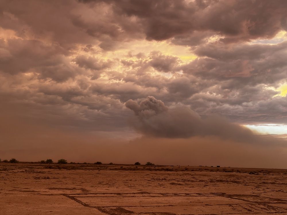 Photograph by Aryn Ramsey