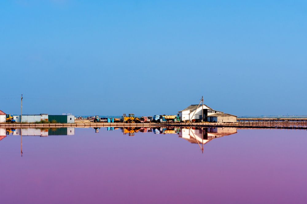 Photograph by Ирина Рябоконь