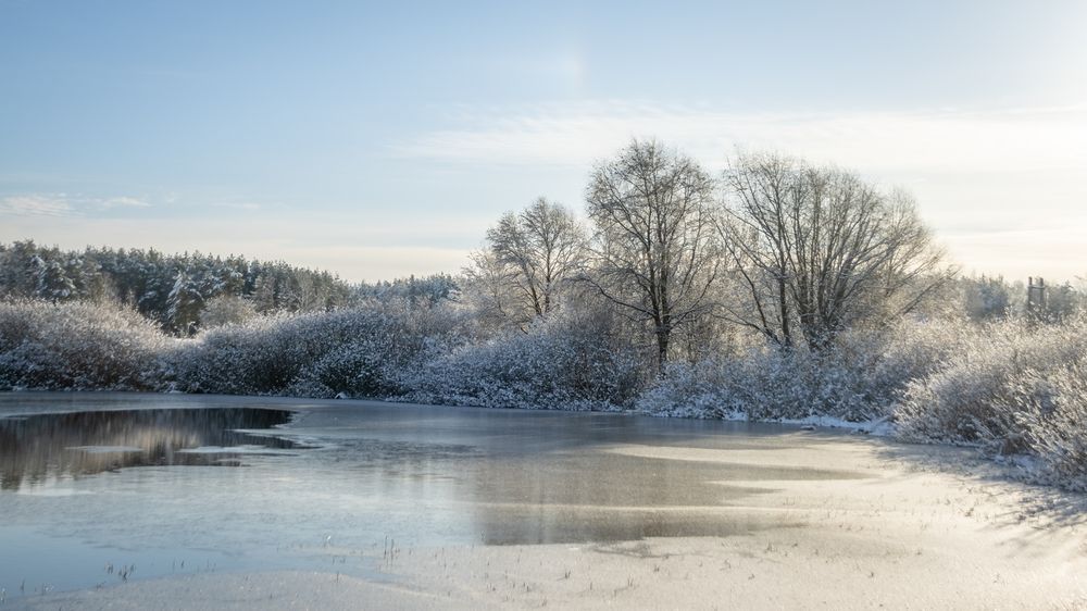 Фотография автора Татьяна Романова