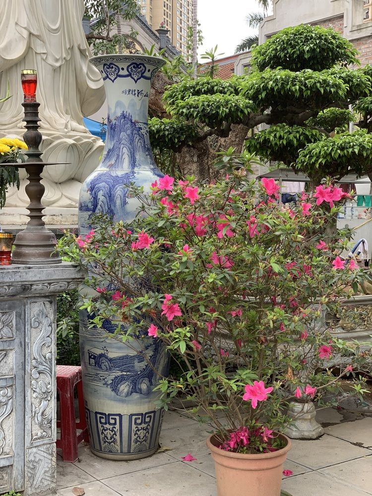 Photograph by Anna Poponina