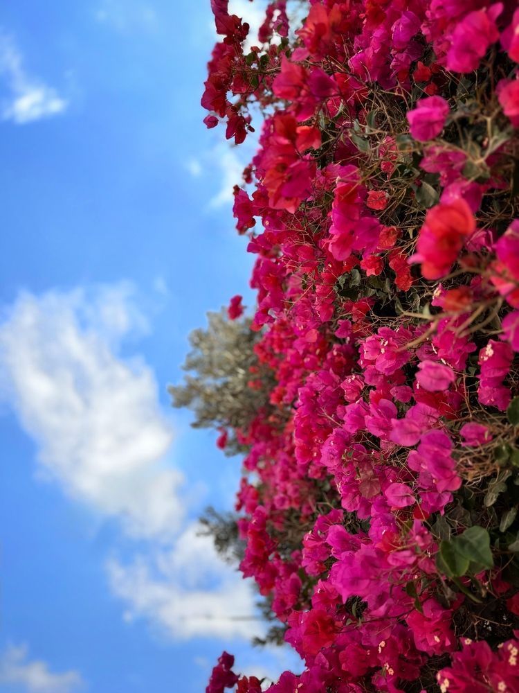 Photograph by Юлия Порфирьева