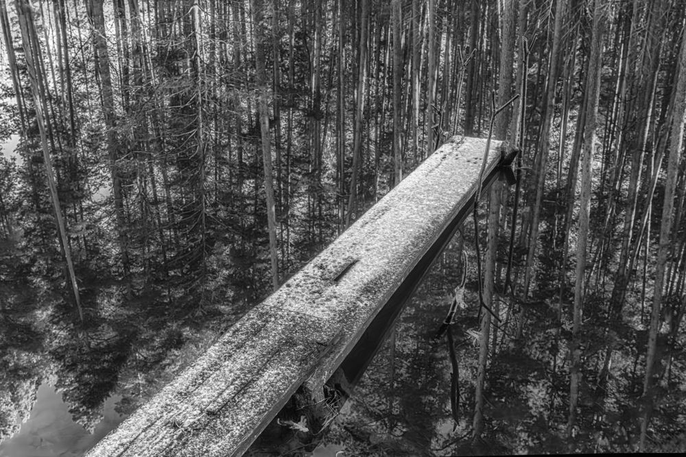 Фотография автора Лазарев Сергей