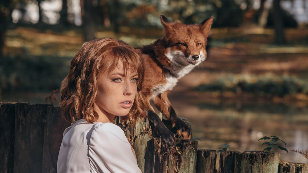 Фотография автора Александр Ершов