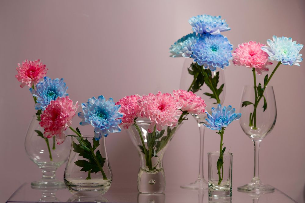 Фотография автора Viktoriya Kim