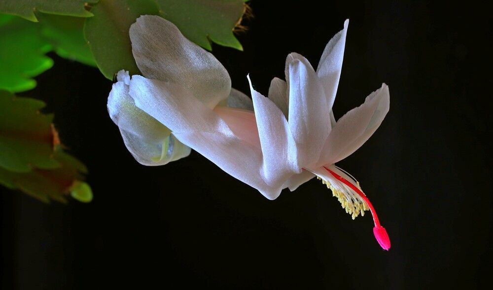 Photograph by Куленко Игорь