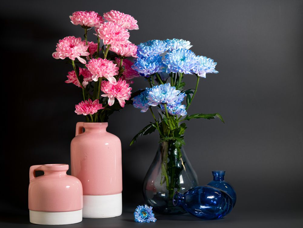 Photograph by Viktoriya Kim