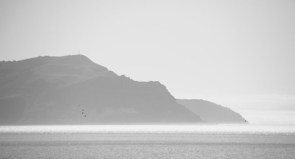 Photograph by Шапран Алёнка