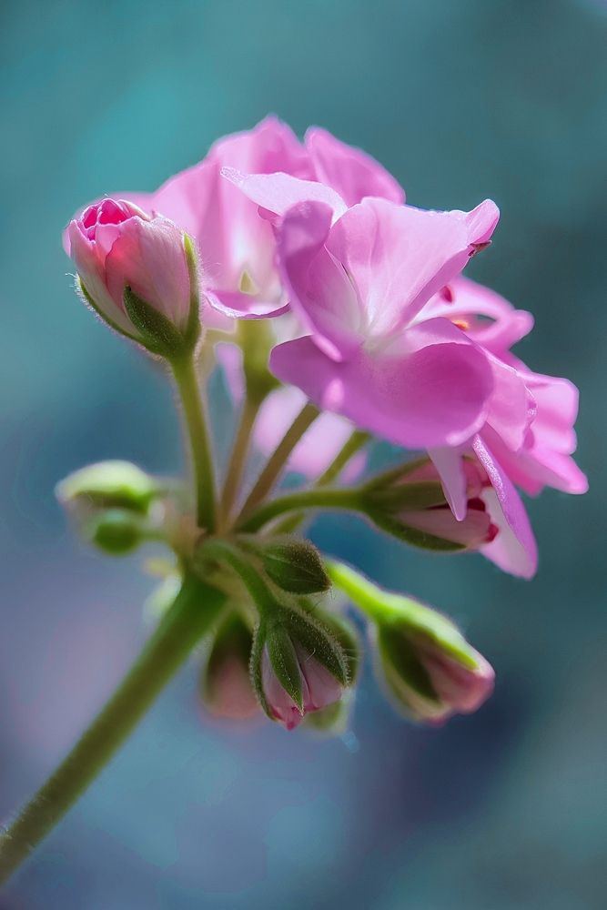 Photograph by Ирина Строкова