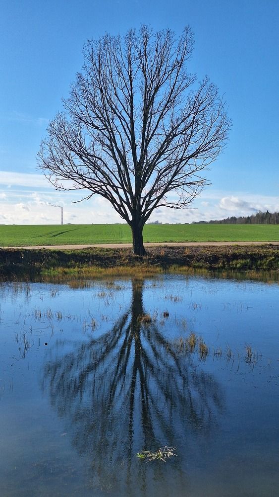 Photograph by Vital Fralou