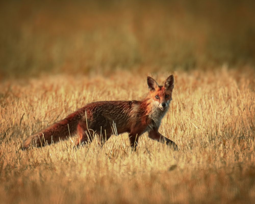 Photograph by Mafaz Abdeen