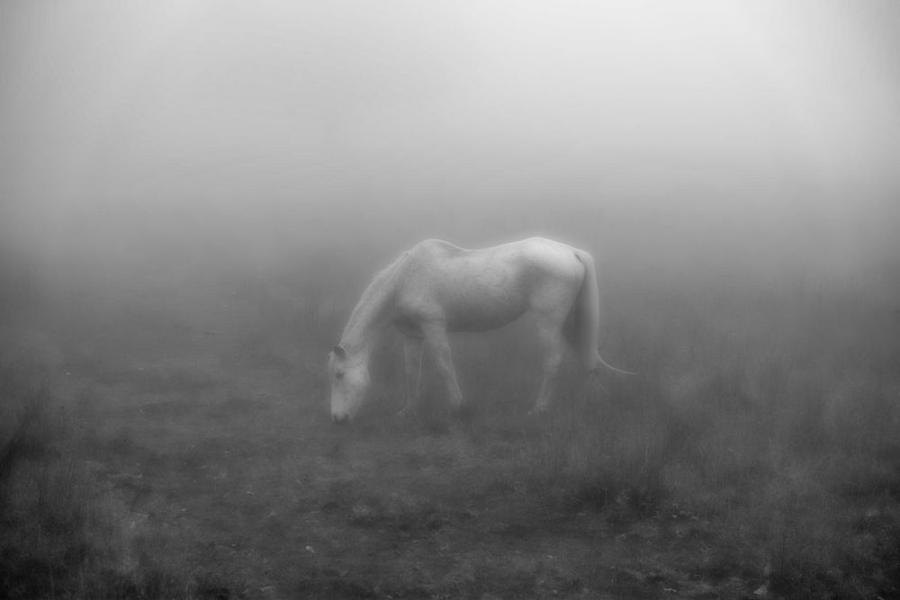 Photograph by Julian P. Biagini