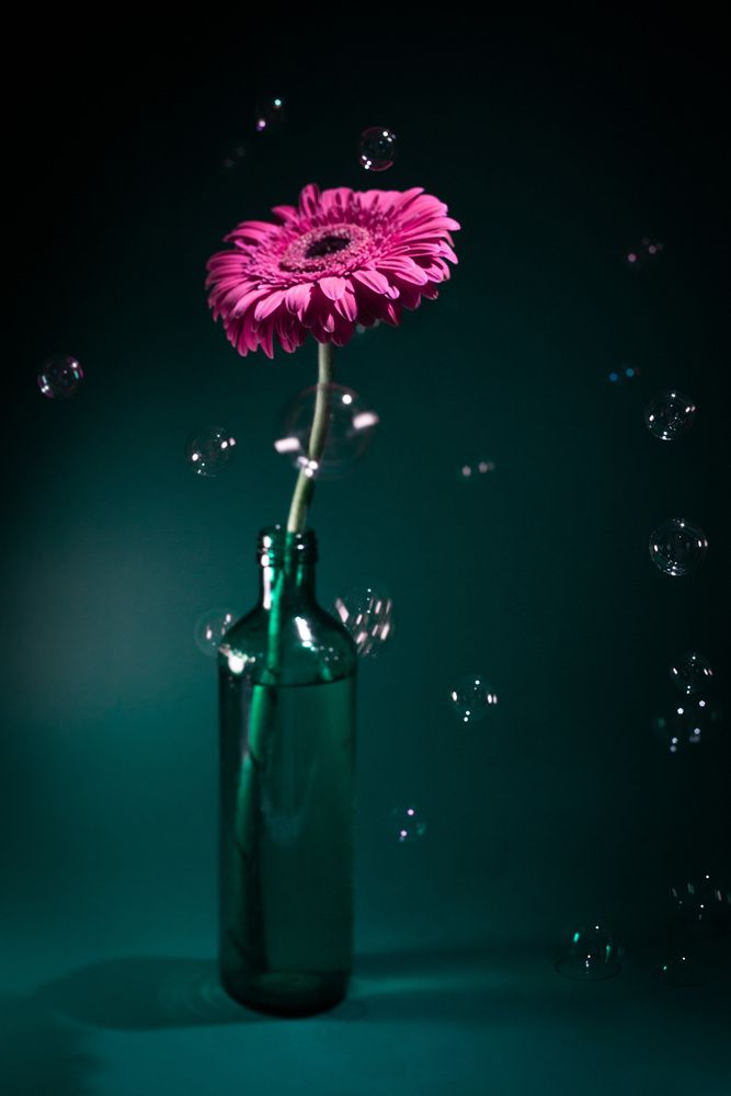 Photograph by Анна Брагина