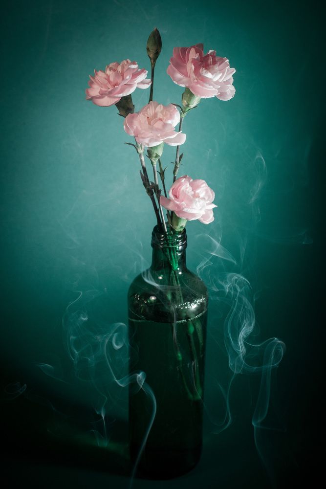 Photograph by Анна Брагина