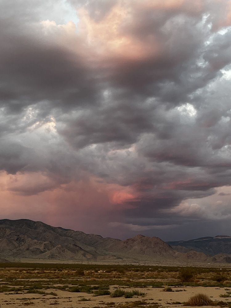 Photograph by Aryn Ramsey