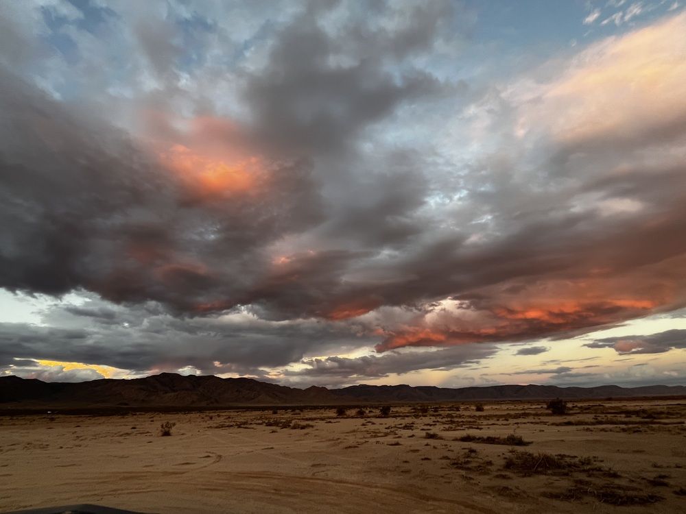 Photograph by Aryn Ramsey