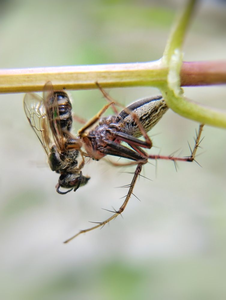 Photograph by Micah Grace Jacob