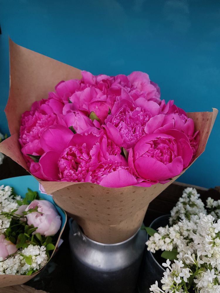 Photograph by Дарья