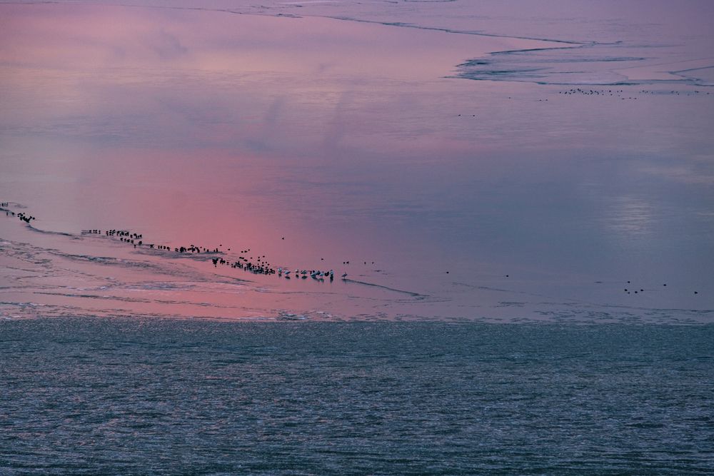 Photograph by Veronika Biró