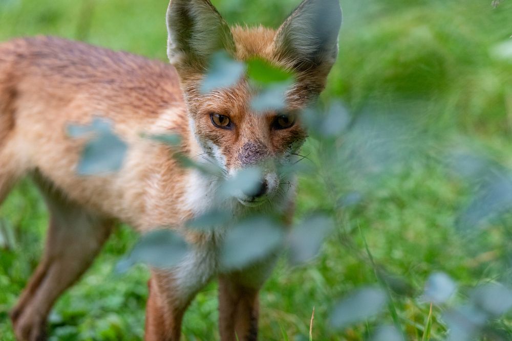 Я слежу за тобой.