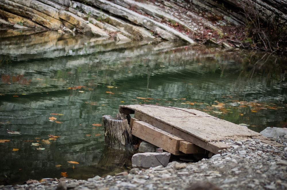 Фотография автора Надежда Ковалёва