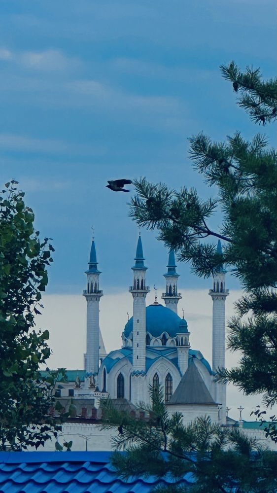 Photograph by Ксения Гулькова