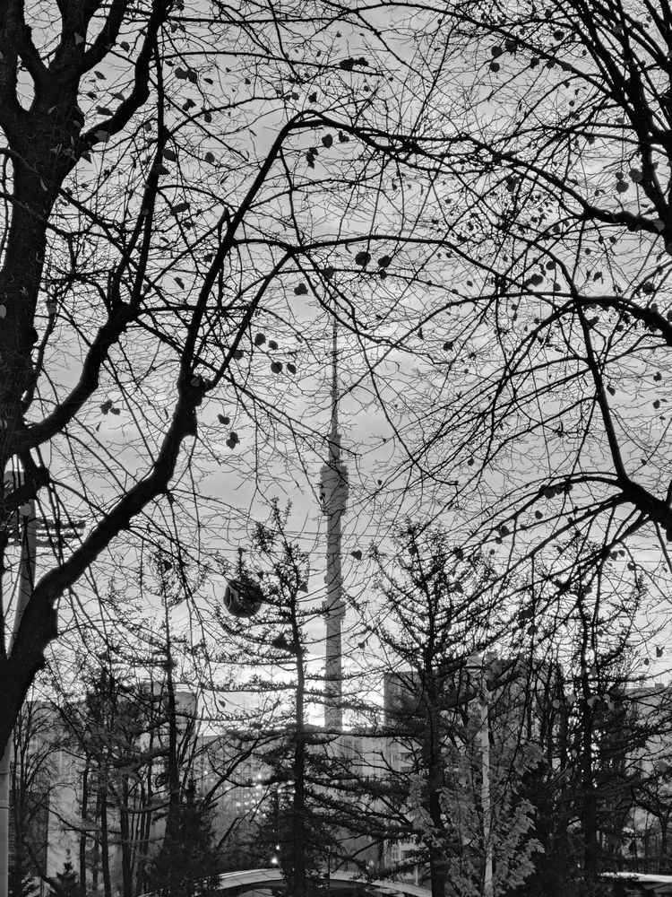 Фотография автора Александр Воробьев