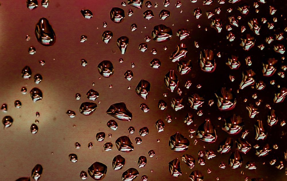 Фотография автора Евгений Николаенков