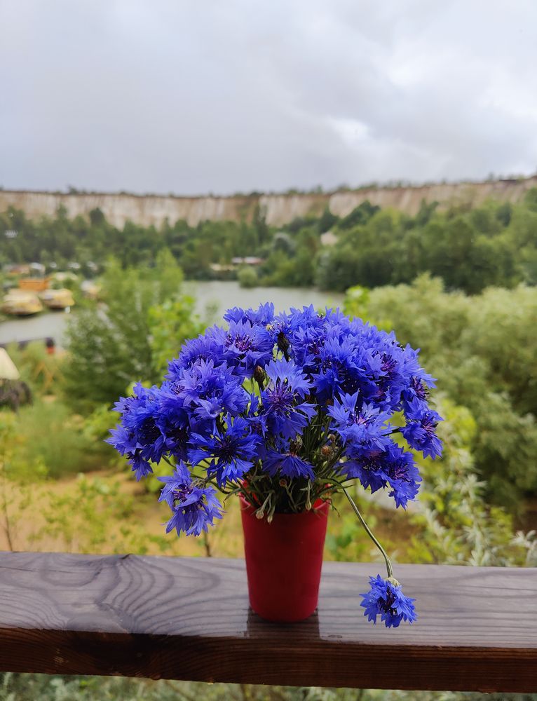 Photograph by Воробьев Александр