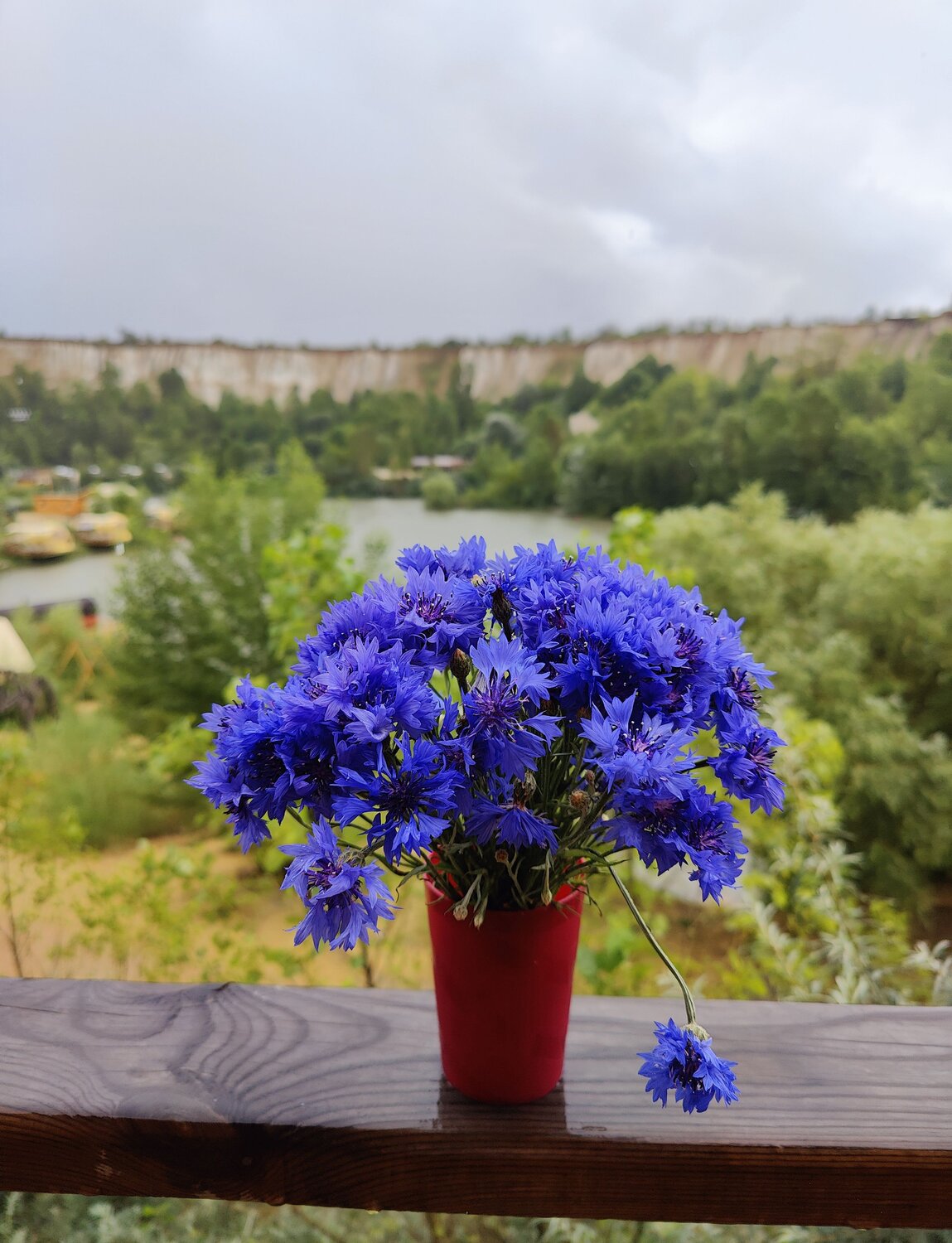 Photo #12849410