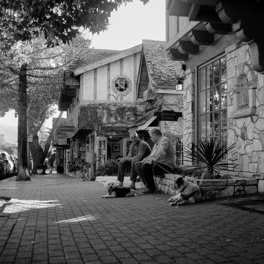 Photograph by Rozman Erik