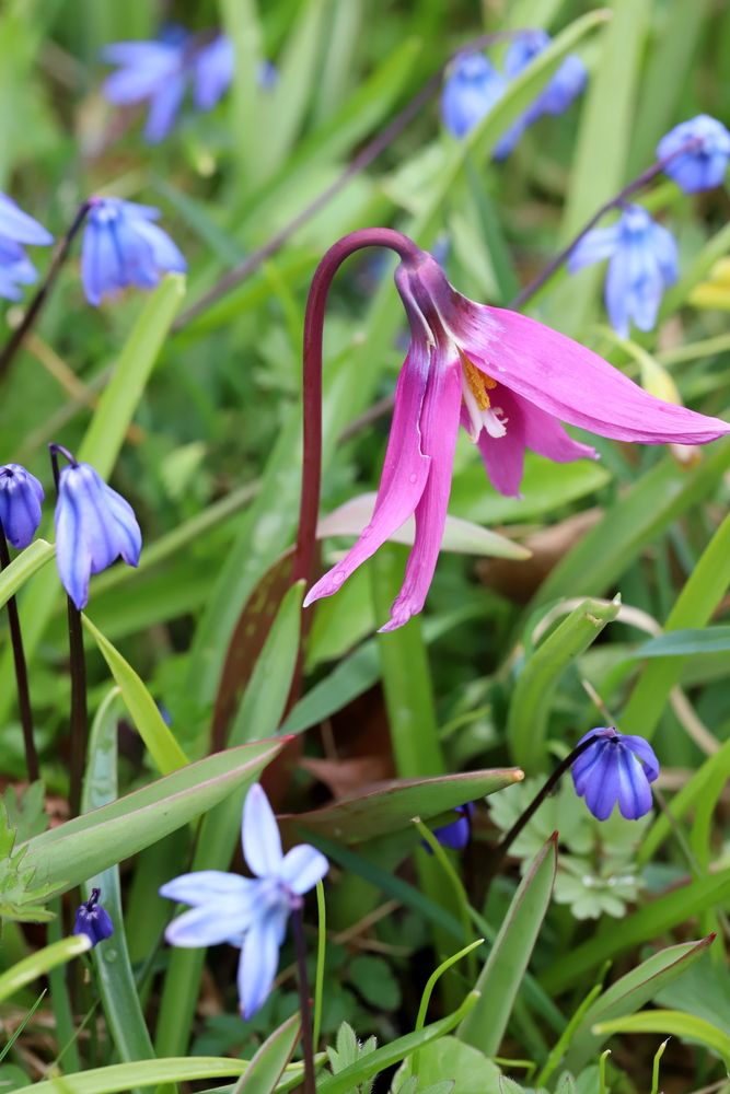 Photograph by елена