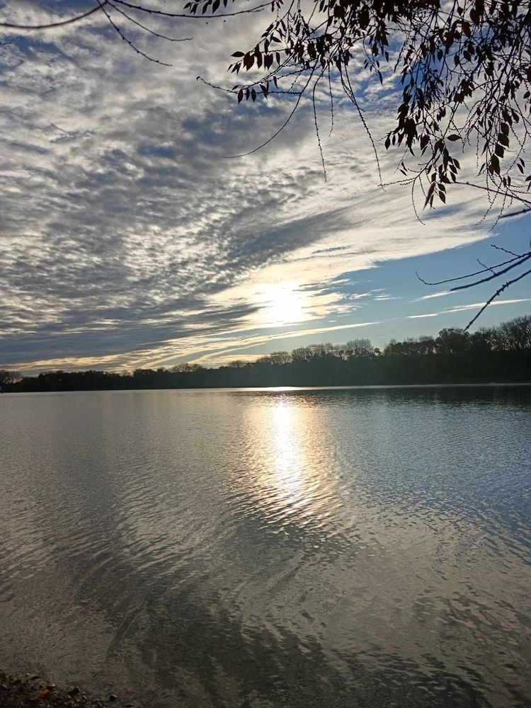 Photo #12849570