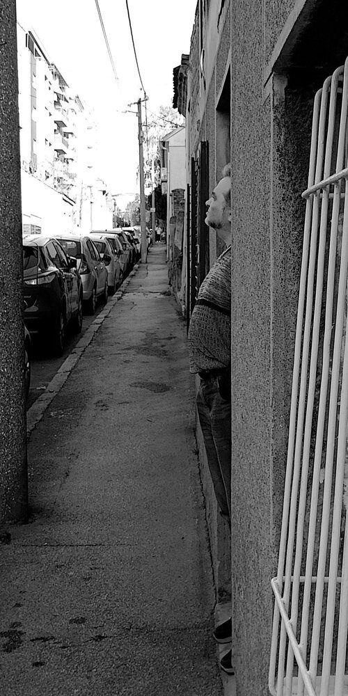 Photograph by Andrew Pechersky