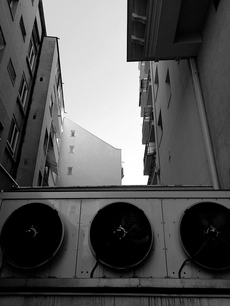 Photograph by Andrew Pechersky