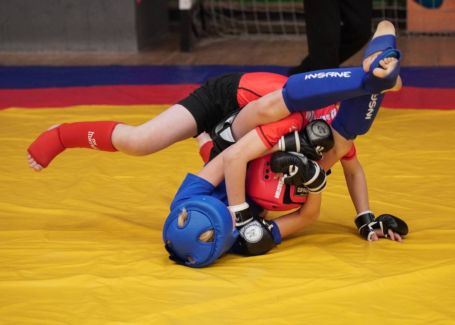 Photo #12849596