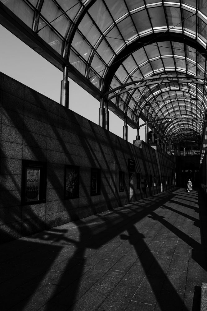 Photograph by Maxim Safonov