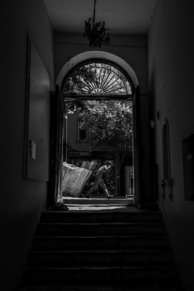 Photograph by Maxim Safonov