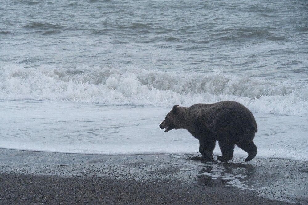 Photograph by Андрей Гусаров